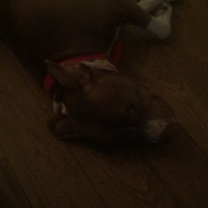 Meet your Posher, Sandra